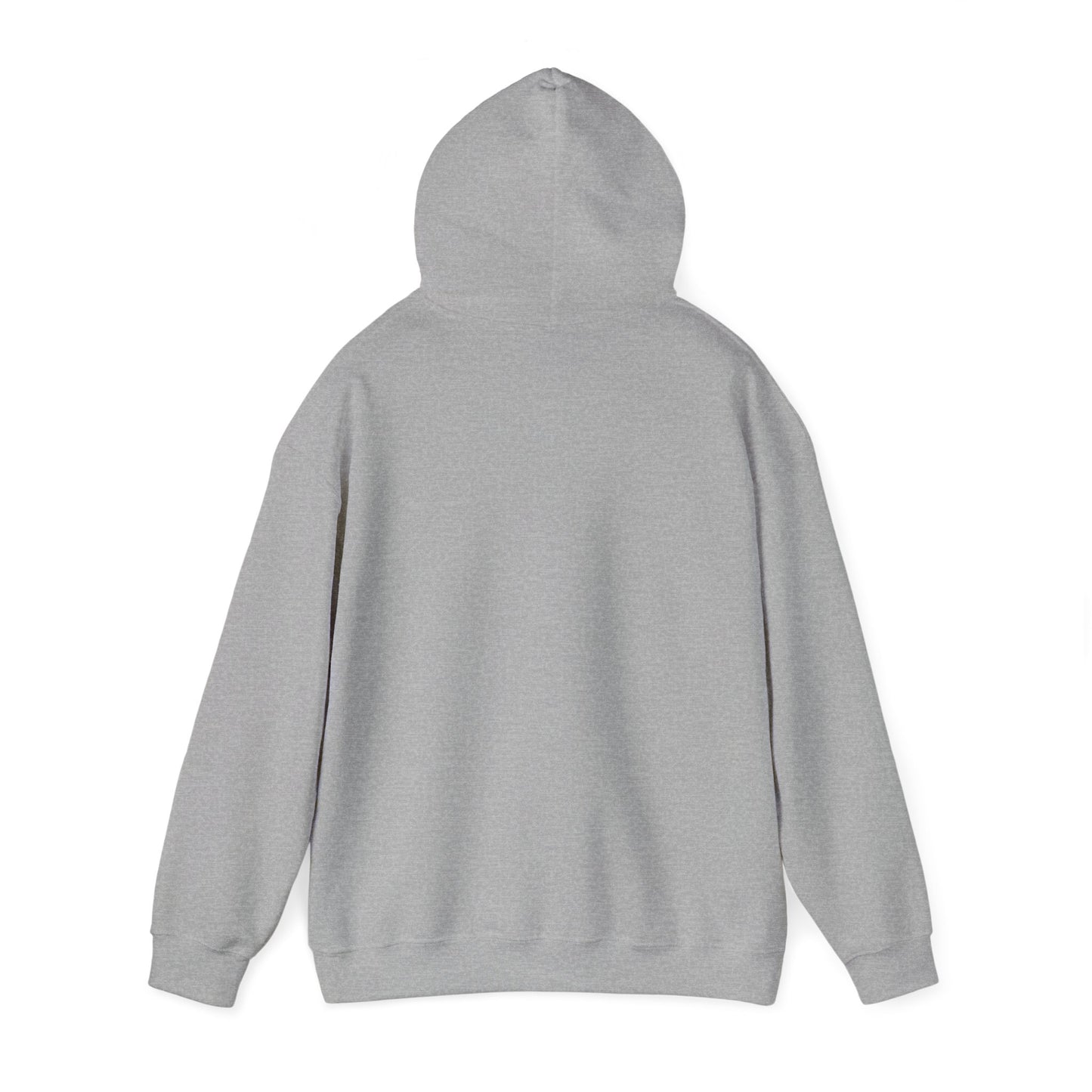 Here for the BBQ Premium Heavy Blend™ Hooded Sweatshirt